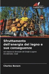 bokomslag Sfruttamento dell'energia del legno e sue conseguenze