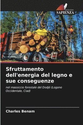 Sfruttamento dell'energia del legno e sue conseguenze 1