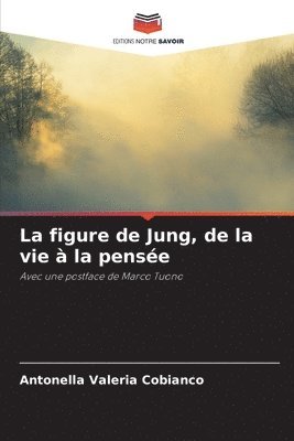 La figure de Jung, de la vie  la pense 1