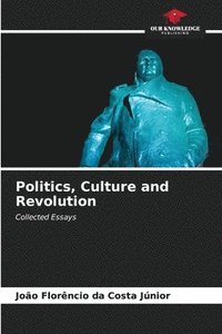 bokomslag Politics, Culture and Revolution