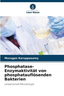 Phosphatase-Enzymaktivitt von phosphatauflsenden Bakterien 1