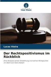 bokomslag Der Rechtspositivismus im Rckblick