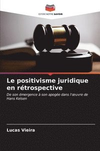 bokomslag Le positivisme juridique en rtrospective