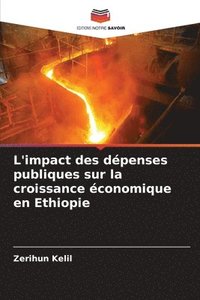 bokomslag L'impact des dpenses publiques sur la croissance conomique en Ethiopie