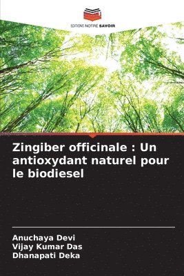 Zingiber officinale 1