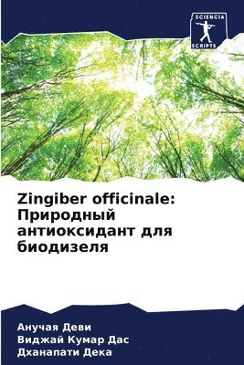 Zingiber officinale 1