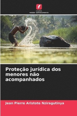 bokomslag Proteo jurdica dos menores no acompanhados