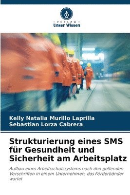 bokomslag Strukturierung eines SMS fr Gesundheit und Sicherheit am Arbeitsplatz