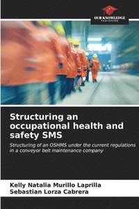 bokomslag Structuring an occupational health and safety SMS
