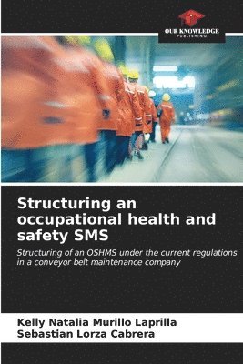 bokomslag Structuring an occupational health and safety SMS