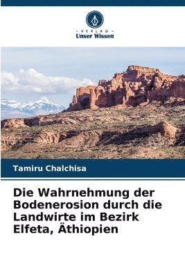 bokomslag Die Wahrnehmung der Bodenerosion durch die Landwirte im Bezirk Elfeta, thiopien