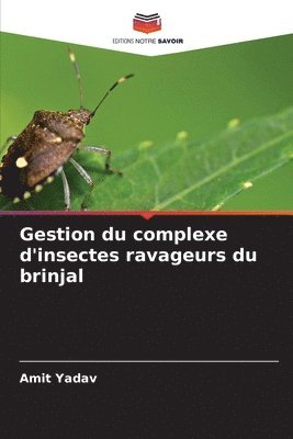 Gestion du complexe d'insectes ravageurs du brinjal 1