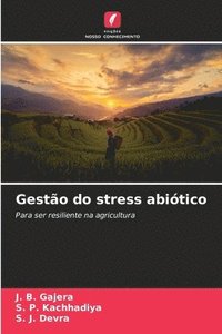 bokomslag Gesto do stress abitico