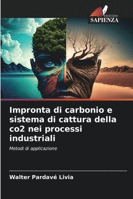 bokomslag Impronta di carbonio e sistema di cattura della co2 nei processi industriali