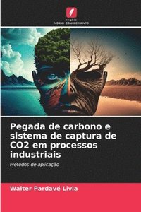 bokomslag Pegada de carbono e sistema de captura de CO2 em processos industriais