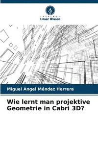bokomslag Wie lernt man projektive Geometrie in Cabri 3D?