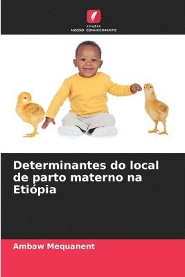 bokomslag Determinantes do local de parto materno na Etipia
