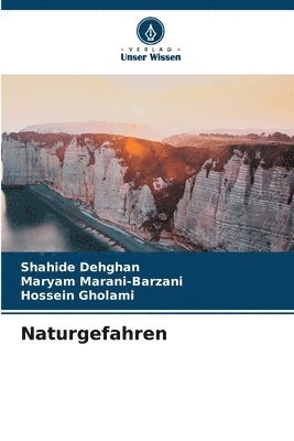 bokomslag Naturgefahren