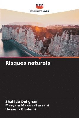 bokomslag Risques naturels