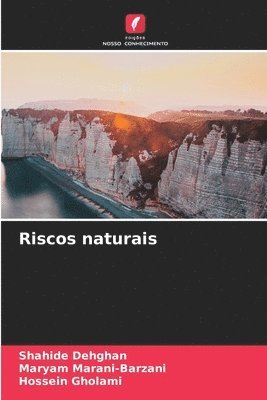 bokomslag Riscos naturais