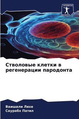 &#1057;&#1090;&#1074;&#1086;&#1083;&#1086;&#1074;&#1099;&#1077; &#1082;&#1083;&#1077;&#1090;&#1082;&#1080; &#1074; &#1088;&#1077;&#1075;&#1077;&#1085;&#1077;&#1088;&#1072;&#1094;&#1080;&#1080; 1