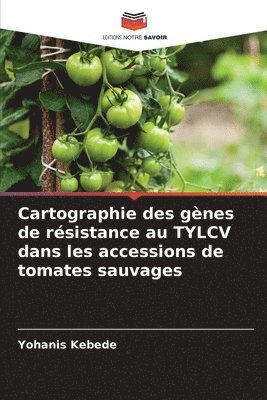 bokomslag Cartographie des gnes de rsistance au TYLCV dans les accessions de tomates sauvages