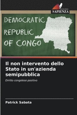 bokomslag Il non intervento dello Stato in un'azienda semipubblica