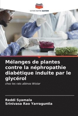 bokomslag Mlanges de plantes contre la nphropathie diabtique induite par le glycrol