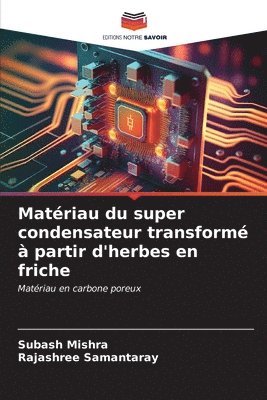 Matriau du super condensateur transform  partir d'herbes en friche 1