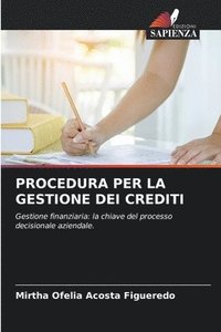 bokomslag Procedura Per La Gestione Dei Crediti