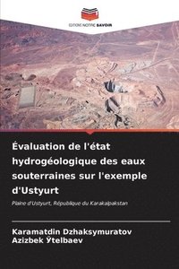 bokomslag valuation de l'tat hydrogologique des eaux souterraines sur l'exemple d'Ustyurt