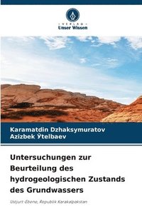 bokomslag Untersuchungen zur Beurteilung des hydrogeologischen Zustands des Grundwassers