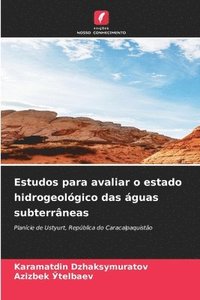 bokomslag Estudos para avaliar o estado hidrogeolgico das guas subterrneas