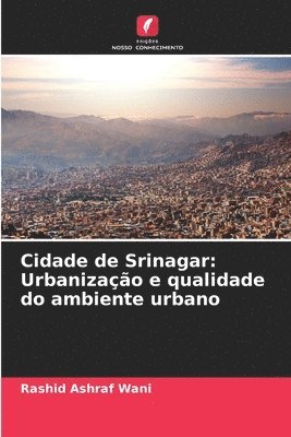 Cidade de Srinagar 1