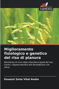 bokomslag Miglioramento fisiologico e genetico del riso di pianura