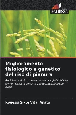 Miglioramento fisiologico e genetico del riso di pianura 1