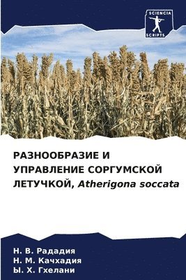 &#1056;&#1040;&#1047;&#1053;&#1054;&#1054;&#1041;&#1056;&#1040;&#1047;&#1048;&#1045; &#1048; &#1059;&#1055;&#1056;&#1040;&#1042;&#1051;&#1045;&#1053;&#1048;&#1045; 1