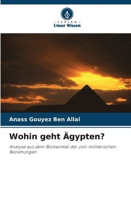 bokomslag Wohin geht gypten?