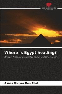 bokomslag Where is Egypt heading?
