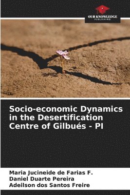 bokomslag Socio-economic Dynamics in the Desertification Centre of Gilbus - PI
