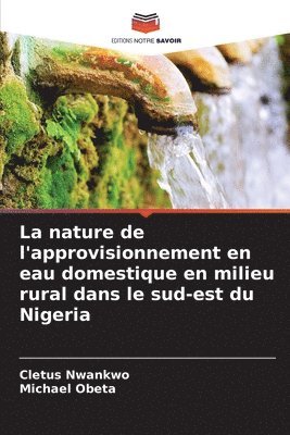 bokomslag La nature de l'approvisionnement en eau domestique en milieu rural dans le sud-est du Nigeria