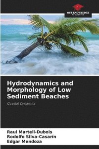 bokomslag Hydrodynamics and Morphology of Low Sediment Beaches
