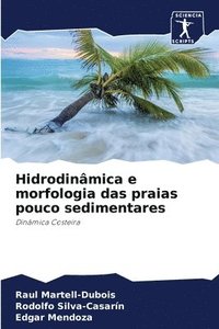 bokomslag Hidrodinmica e morfologia das praias pouco sedimentares