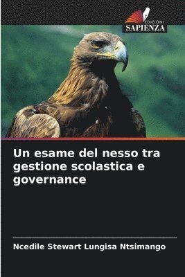 bokomslag Un esame del nesso tra gestione scolastica e governance