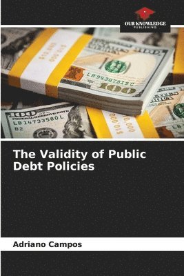 bokomslag The Validity of Public Debt Policies