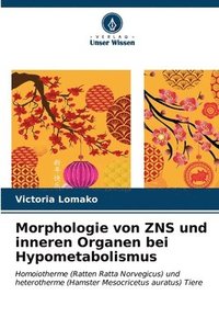 bokomslag Morphologie von ZNS und inneren Organen bei Hypometabolismus