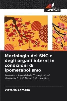Morfologia del SNC e degli organi interni in condizioni di ipometabolismo 1