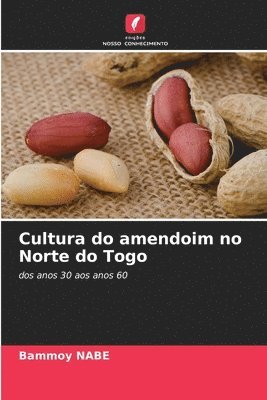 Cultura do amendoim no Norte do Togo 1