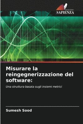 bokomslag Misurare la reingegnerizzazione del software