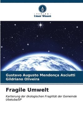 bokomslag Fragile Umwelt